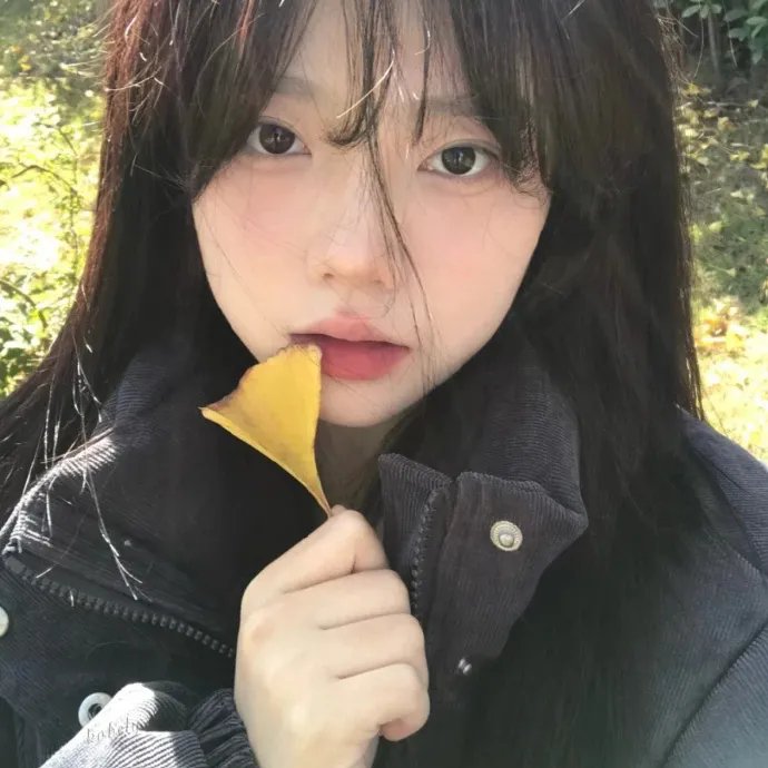 新小子
